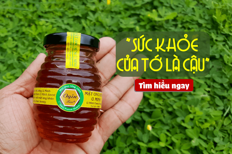 Mật ong rừng U Minh nguyên chất